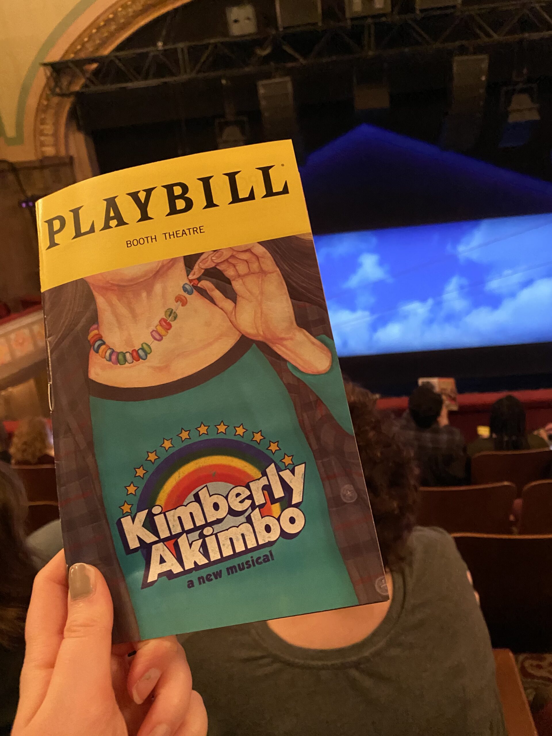 Image of the Kimberly Akimbo playbill held up in front of the stage